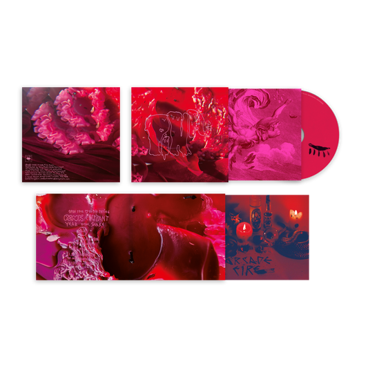 Arcade Fire - Pink Elephant Album. Alternative Artwork CD